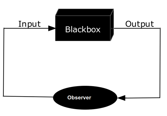 il problema della black box